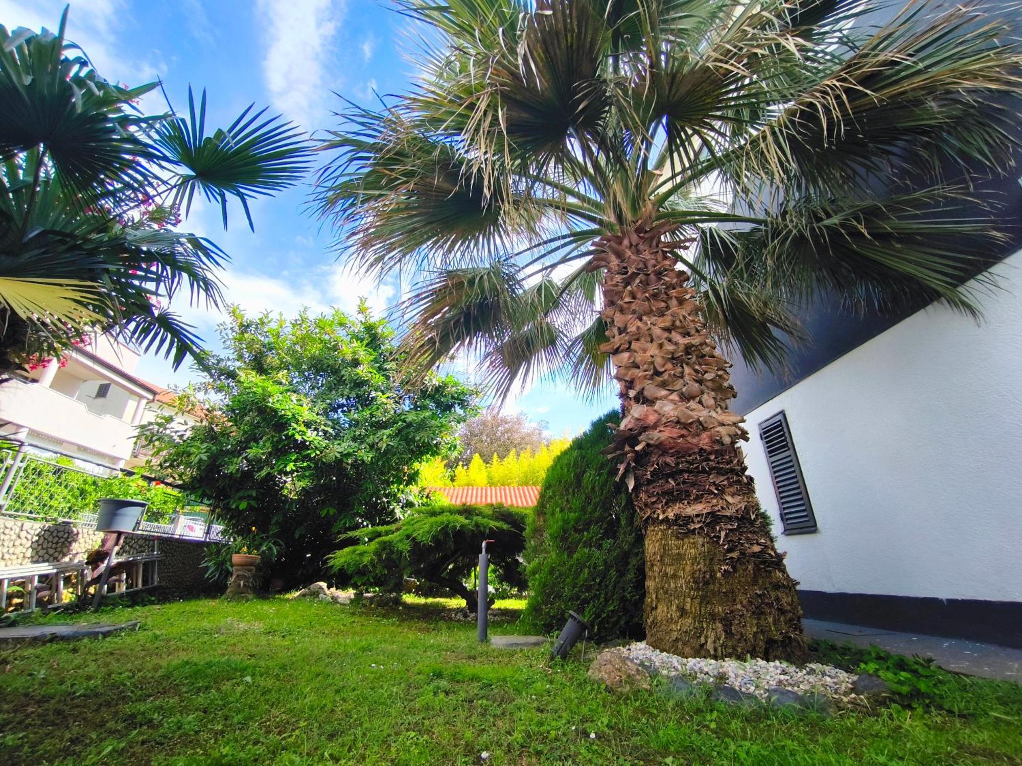 Apartman Andrea